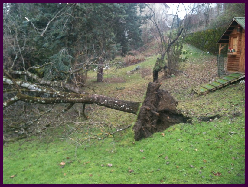 intervention après tempete